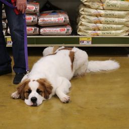 photograph by PeterW